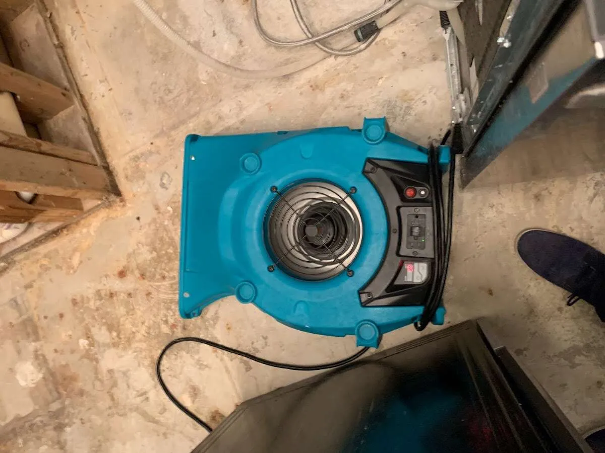 Air mover drying equipment for Mold Remediation & Removal in Santa Rosa